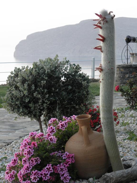 Villa Tholos Crete Kavousi  Exterior photo